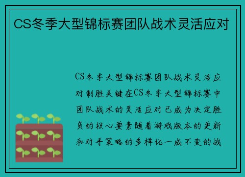 CS冬季大型锦标赛团队战术灵活应对