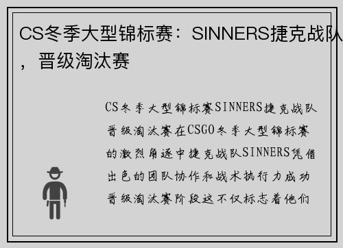 CS冬季大型锦标赛：SINNERS捷克战队，晋级淘汰赛